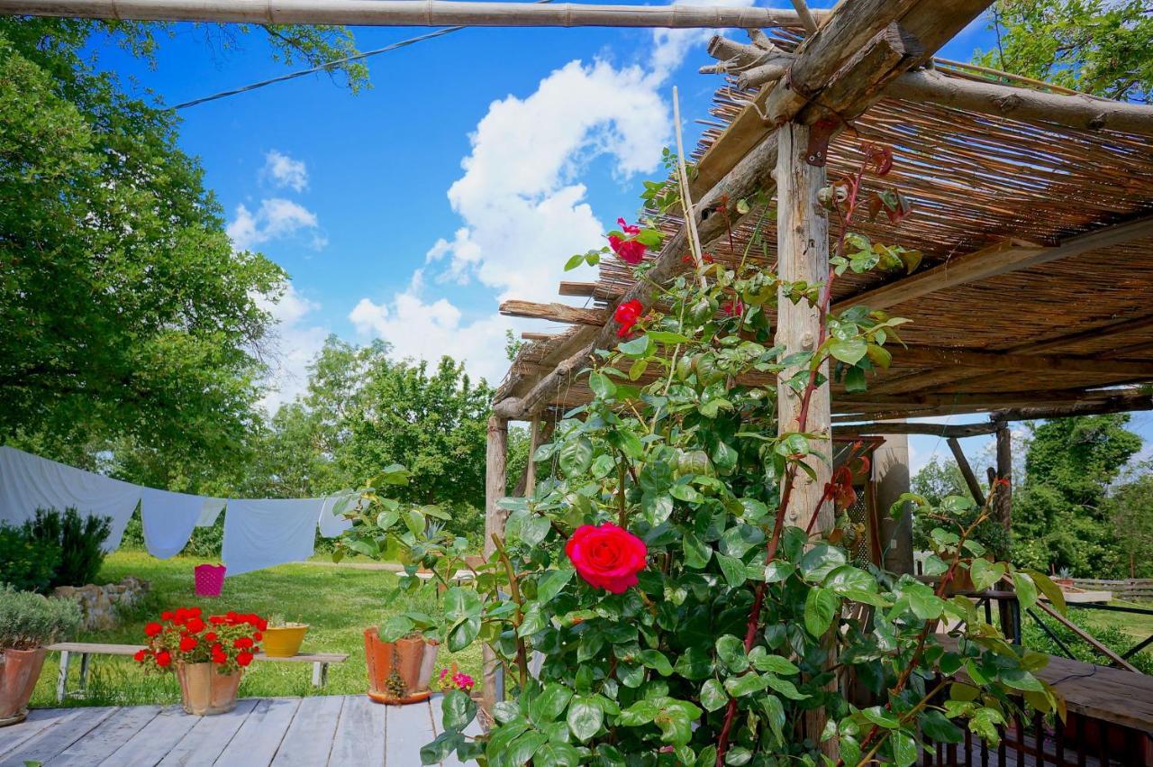 B&B Parco Dei Cavalli Кастел Сан Пиетро Терме Екстериор снимка