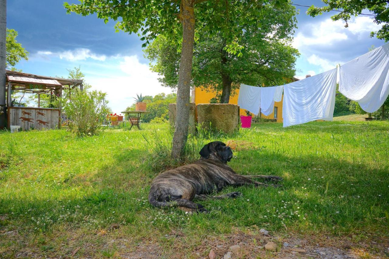 B&B Parco Dei Cavalli Кастел Сан Пиетро Терме Екстериор снимка